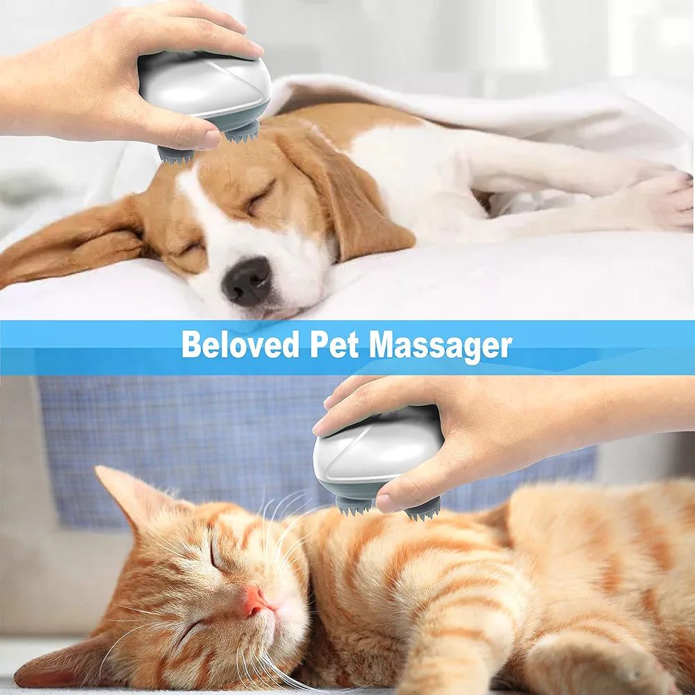 Electric Scalp Massager